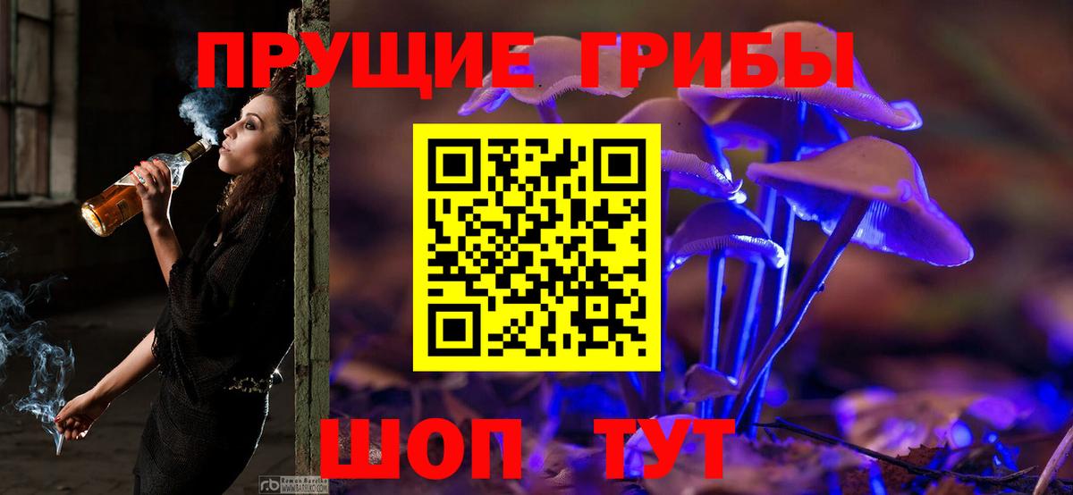 Псилоцибиновые грибы мицелий Кудрово