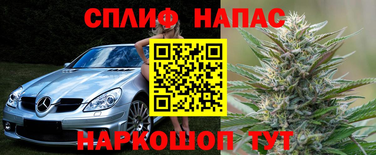 Каннабис планчик Кудрово